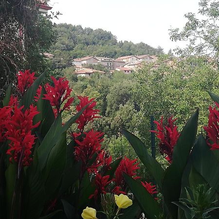 Agrifoglio B&B Con Giardino อาริตโซ ภายนอก รูปภาพ