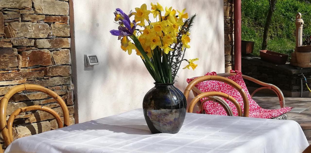 Agrifoglio B&B Con Giardino อาริตโซ ภายนอก รูปภาพ
