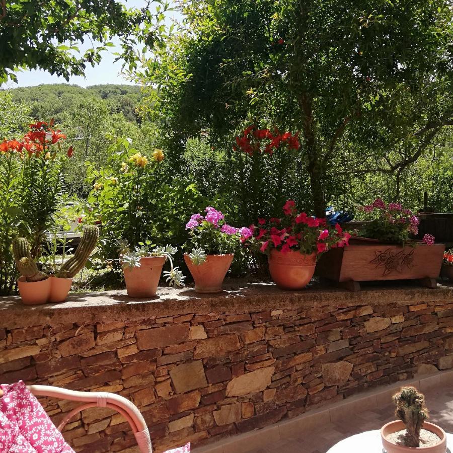 Agrifoglio B&B Con Giardino อาริตโซ ภายนอก รูปภาพ
