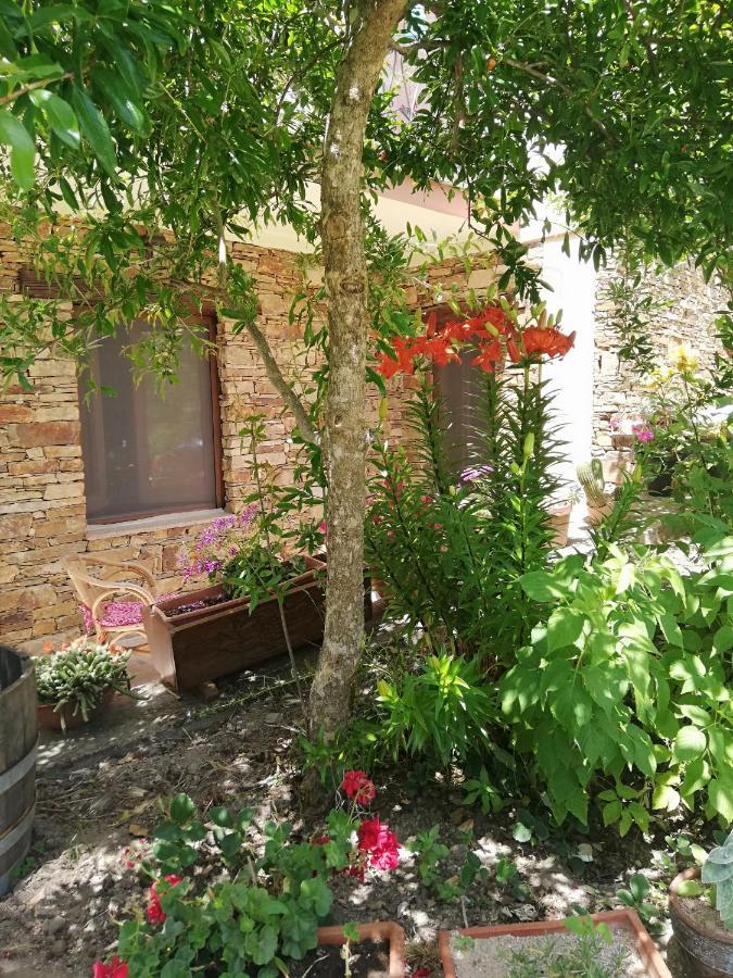 Agrifoglio B&B Con Giardino อาริตโซ ภายนอก รูปภาพ