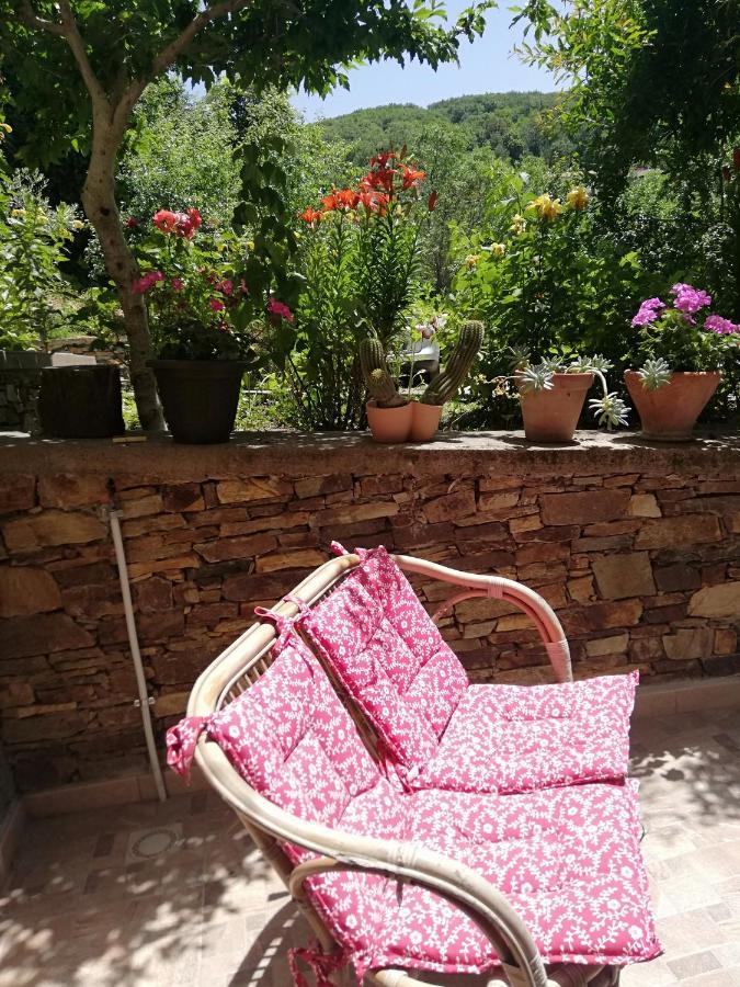 Agrifoglio B&B Con Giardino อาริตโซ ภายนอก รูปภาพ