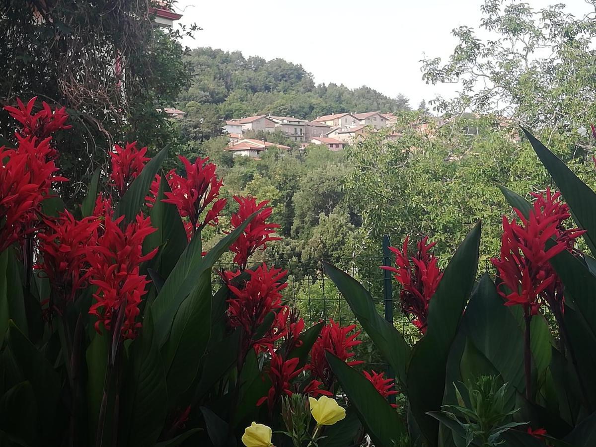 Agrifoglio B&B Con Giardino อาริตโซ ภายนอก รูปภาพ