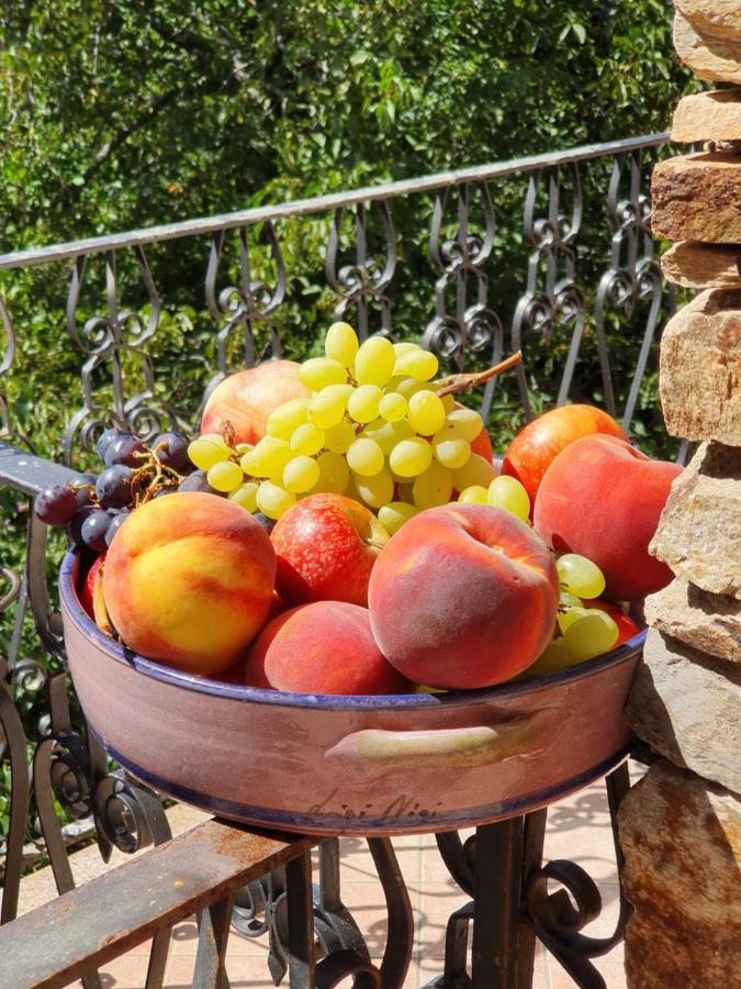 Agrifoglio B&B Con Giardino อาริตโซ ภายนอก รูปภาพ