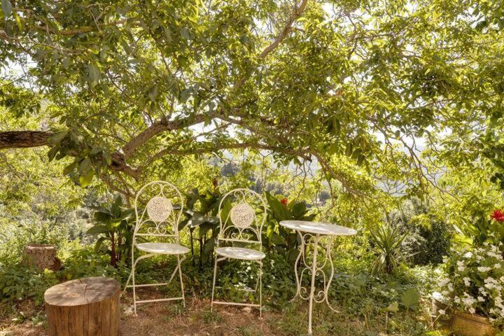 Agrifoglio B&B Con Giardino อาริตโซ ภายนอก รูปภาพ